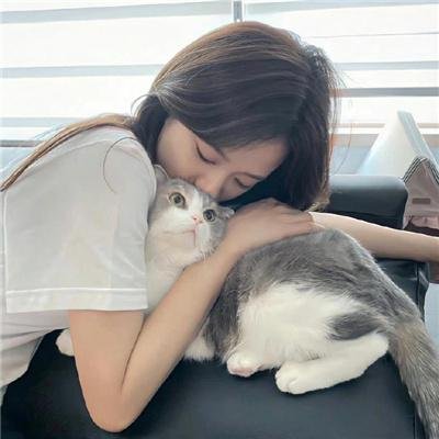 同路人